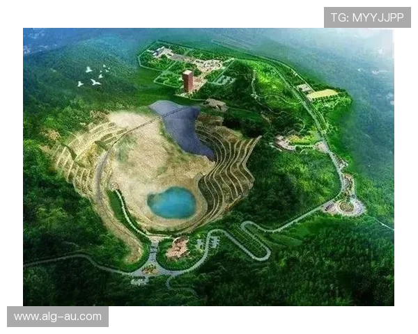 伯纳乌重大挑战与转型前景解析 伯纳乌重大挑战与转型前景解析